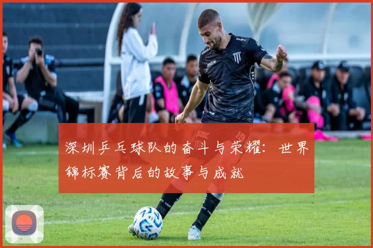 深圳乒乓球队的奋斗与荣耀：世界锦标赛背后的故事与成就
