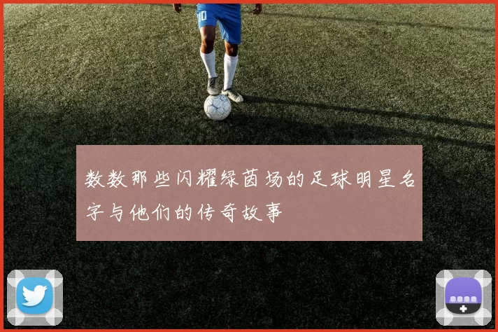 数数那些闪耀绿茵场的足球明星名字与他们的传奇故事