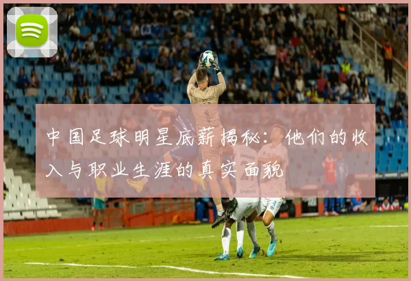 中国足球明星底薪揭秘：他们的收入与职业生涯的真实面貌