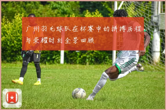 广州羽毛球队在杯赛中的拼搏历程与荣耀时刻全景回顾