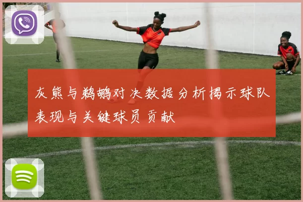 灰熊与鹈鹕对决数据分析揭示球队表现与关键球员贡献