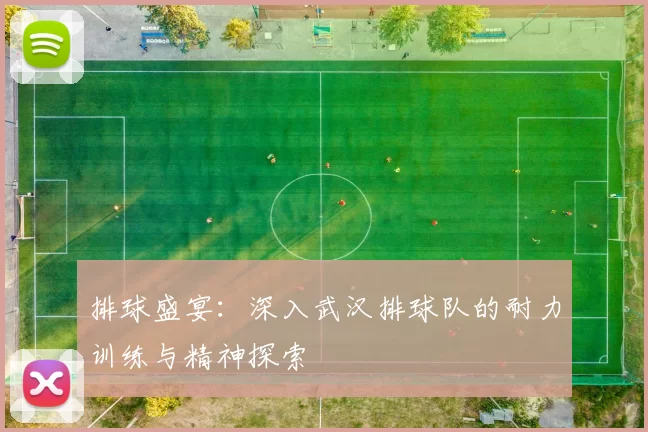 排球盛宴：深入武汉排球队的耐力训练与精神探索