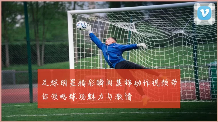 足球明星精彩瞬间集锦动作视频带你领略球场魅力与激情