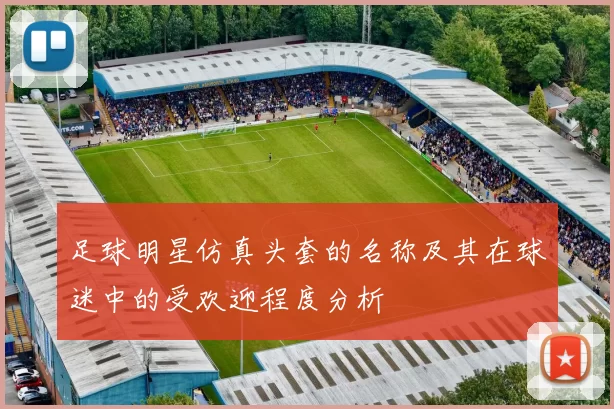 足球明星仿真头套的名称及其在球迷中的受欢迎程度分析