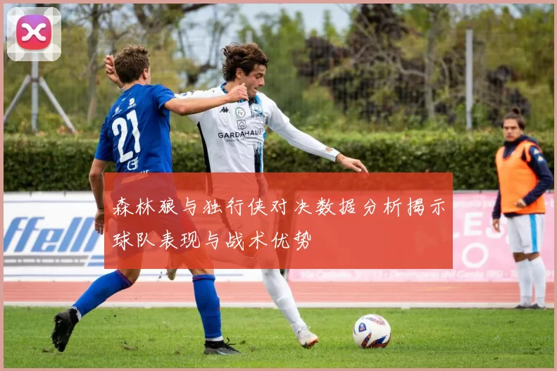 森林狼与独行侠对决数据分析揭示球队表现与战术优势