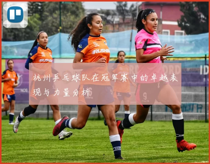 杭州乒乓球队在冠军赛中的卓越表现与力量分析
