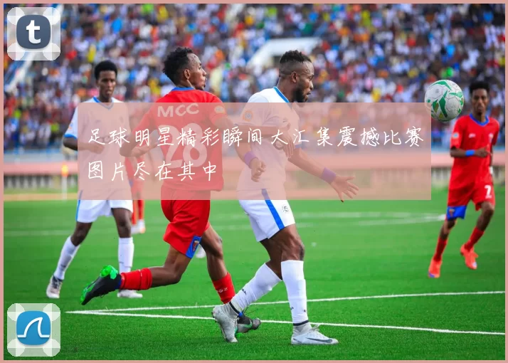 足球明星精彩瞬间大汇集震撼比赛图片尽在其中