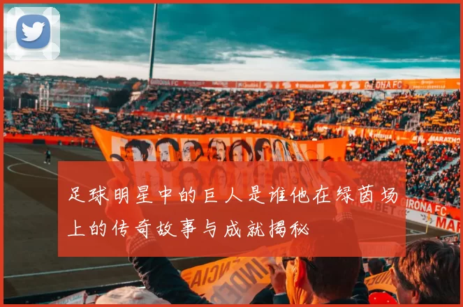 足球明星中的巨人是谁他在绿茵场上的传奇故事与成就揭秘