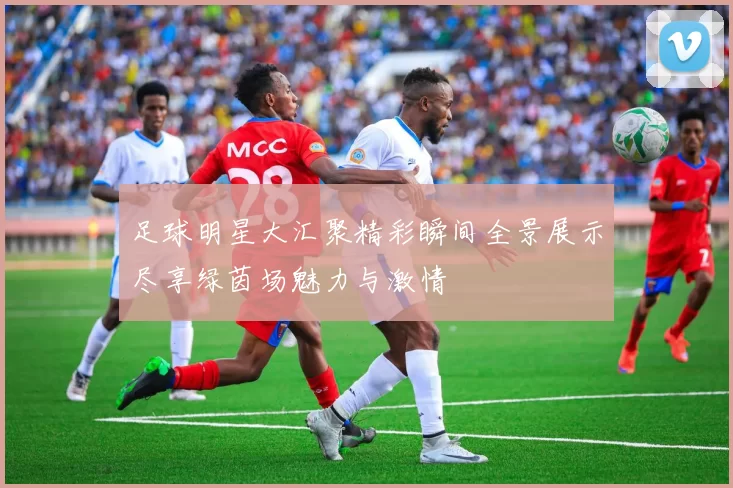 足球明星大汇聚精彩瞬间全景展示尽享绿茵场魅力与激情