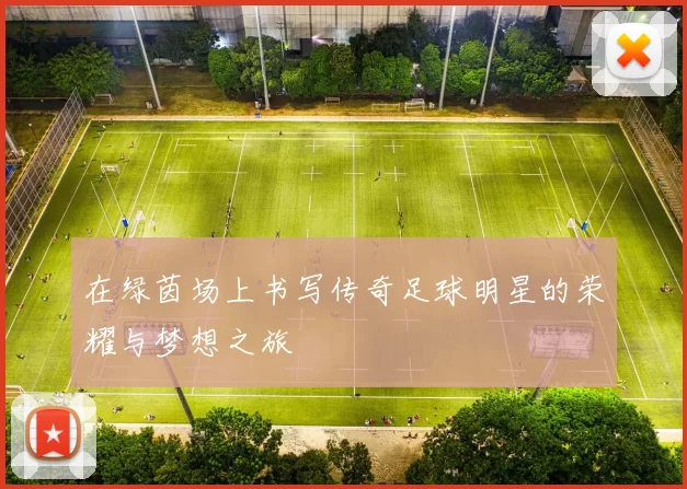 在绿茵场上书写传奇足球明星的荣耀与梦想之旅