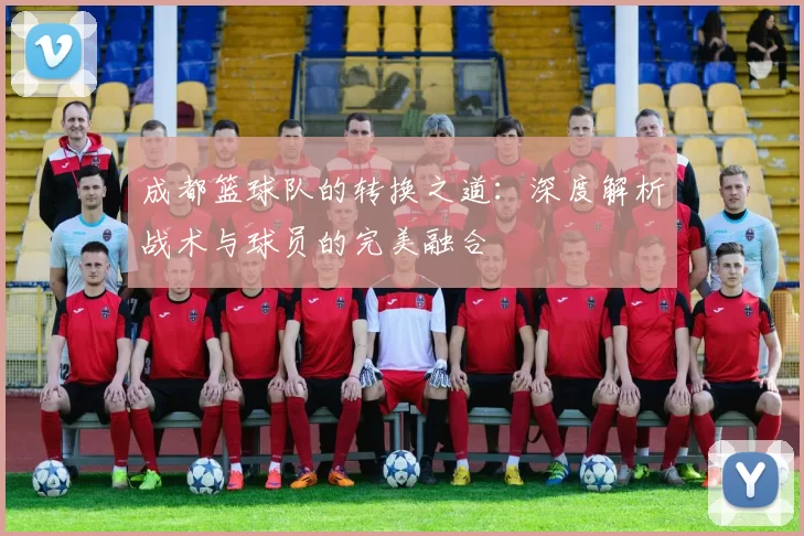 成都篮球队的转换之道：深度解析战术与球员的完美融合