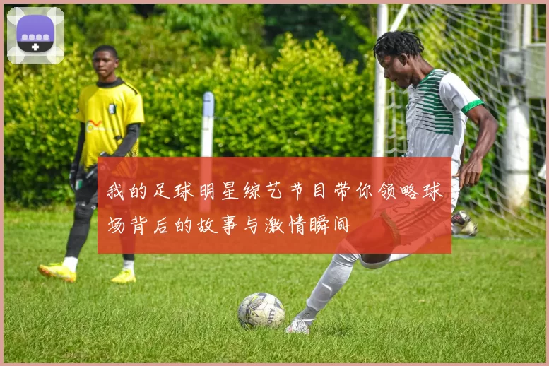我的足球明星综艺节目带你领略球场背后的故事与激情瞬间