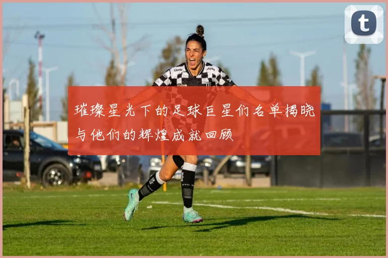璀璨星光下的足球巨星们名单揭晓与他们的辉煌成就回顾