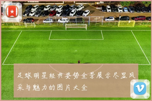 足球明星经典姿势全景展示尽显风采与魅力的图片大全