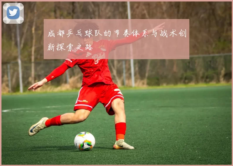 成都乒乓球队的节奏体系与战术创新探索之路